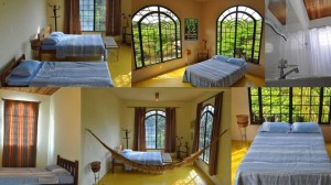 228919_145861562226213_209362500_n