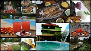 65926_208775769268125_1981748509_n