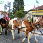 Pomerode_By_Yghor_Palhano (3)