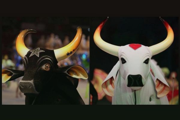 Quem tem mais estilo ao levantar a sobrancelha: Dwayne Johnson ou uma vaca?