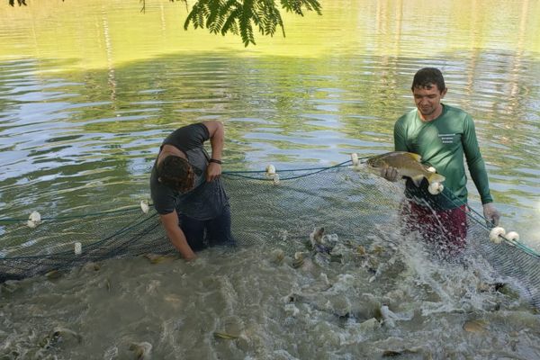 Simpósio Internacional no Inpa discute uso sustentável e tecnologias alimentares para a Piscicultura Familiar na Amazônia