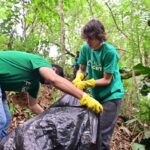Galho Forte: Projeto recolhe mais de 2 toneladas de lixo em mutirão de limpeza em igarapé