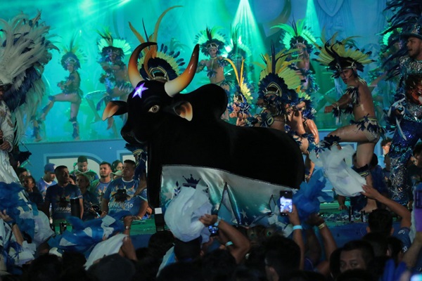 Boi Caprichoso: confira o calendário de eventos para a temporada 2024 em Parintins
