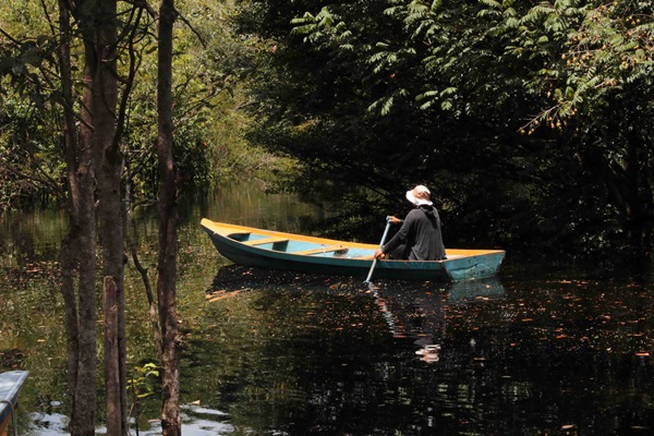 Edital Expedições Científicas da Iniciativa Amazônia+10 encerra inscrições em 29 de abril