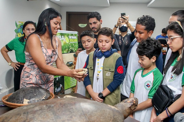 Dia Mundial das Tartarugas é comemorado com exposição no Espaço da Cidadania Ambiental (Ecam)