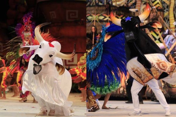 Caprichoso e Garantido participam do ‘São João da Thay’ _ Portal Cultura Amazônica